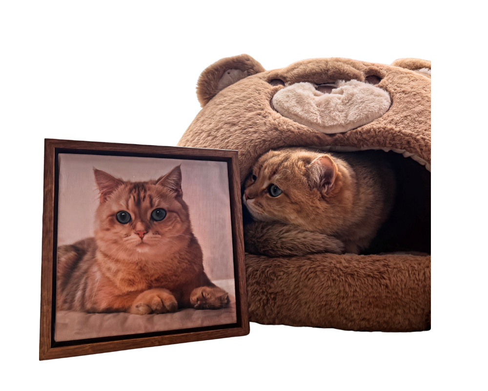 What Size Pet Portrait Should You Order? Complete Sizing Guide with Examples