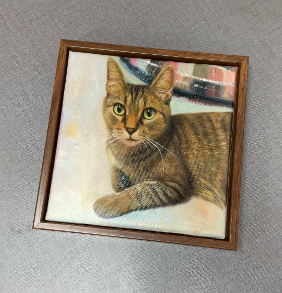 Understanding Cat Expressions: How to Capture Their Best Moments