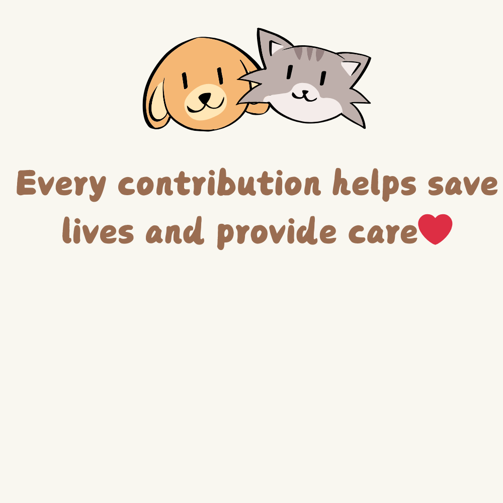 Animal Rescue Donation