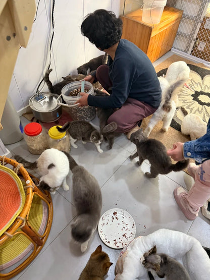 Animal Rescue Donation