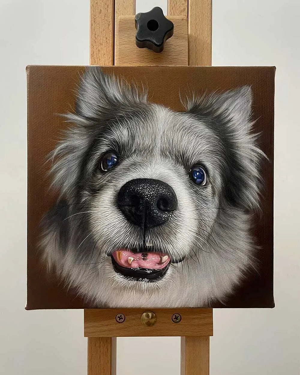 Custom heirloom border collie oil pet portrait commissioned as a meaningful memorial gift