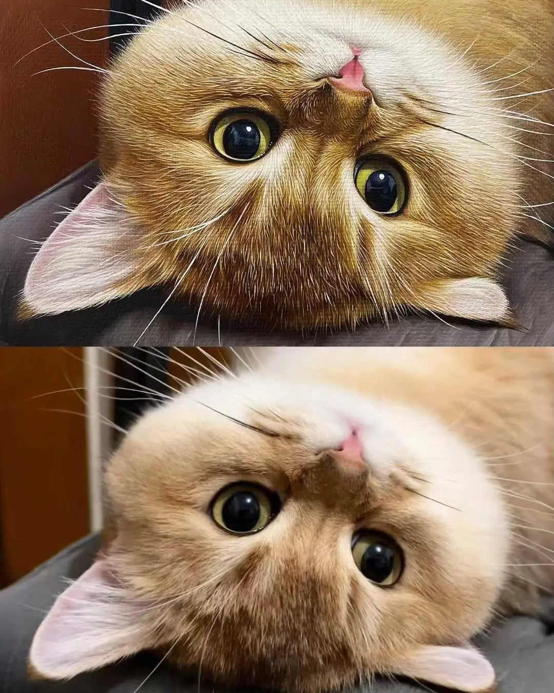 Side-by-side comparison of a pet photo and its hand-painted realistic oil masterpiece by Bolapawzi.